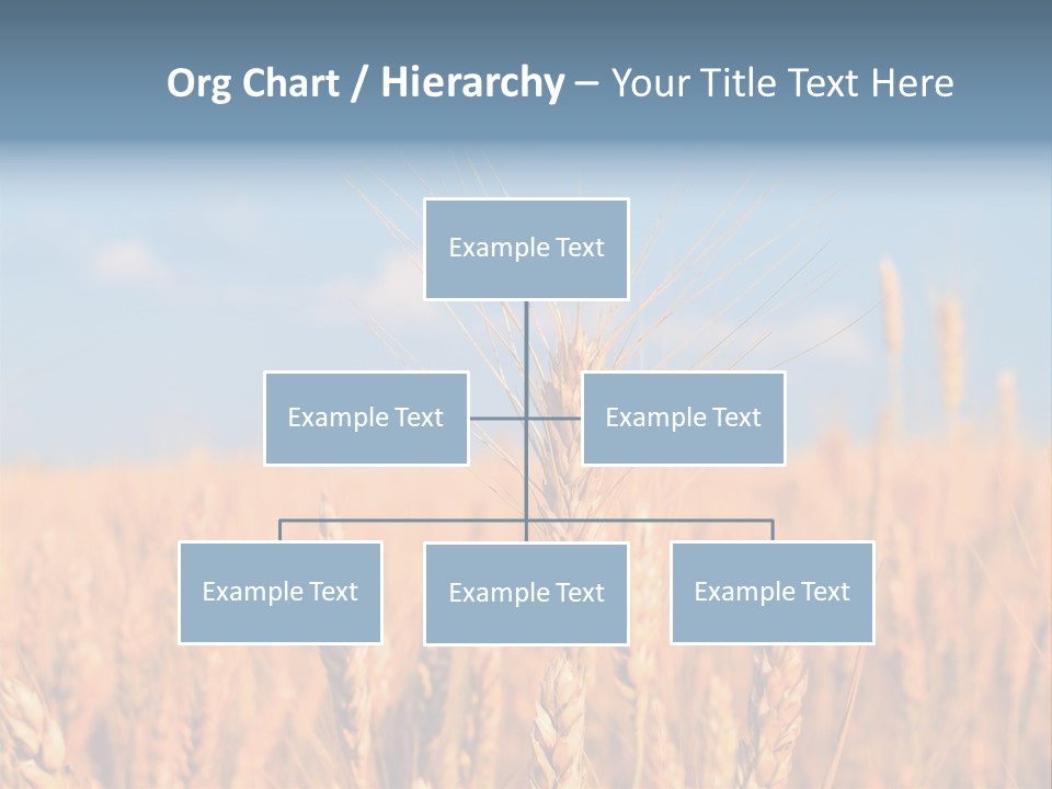 A Little Ear On A Background Of The Sky PowerPoint Template