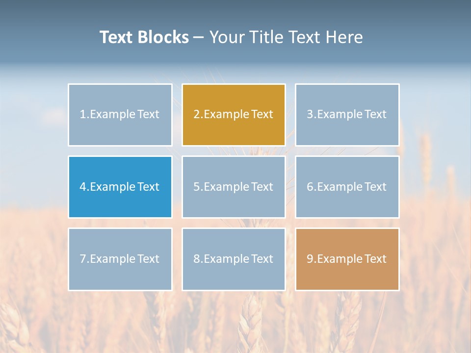 A Little Ear On A Background Of The Sky PowerPoint Template