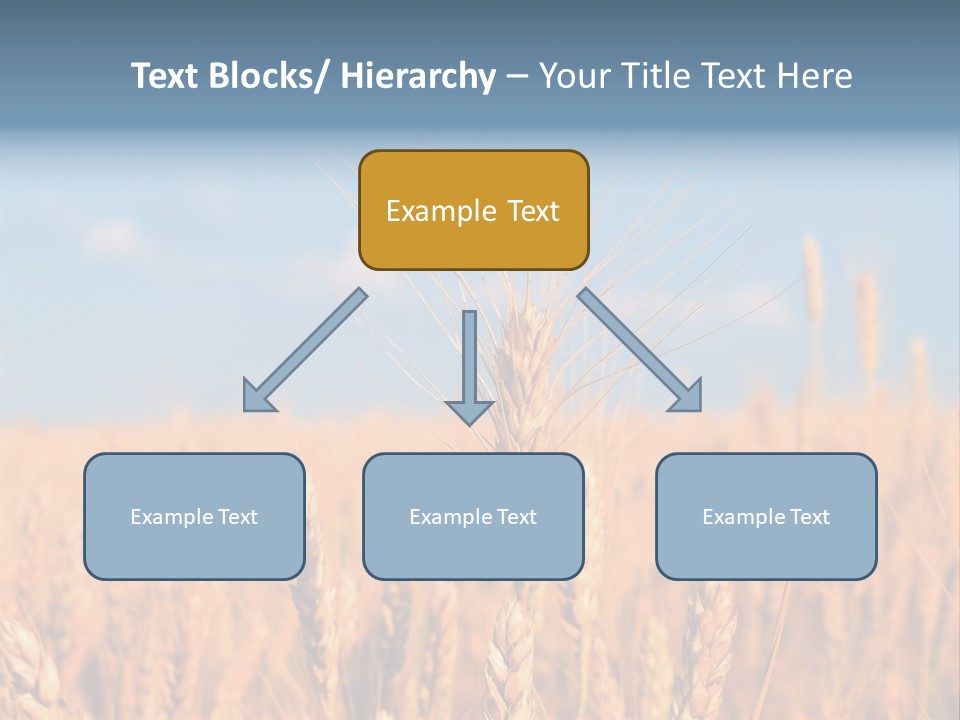 A Little Ear On A Background Of The Sky PowerPoint Template