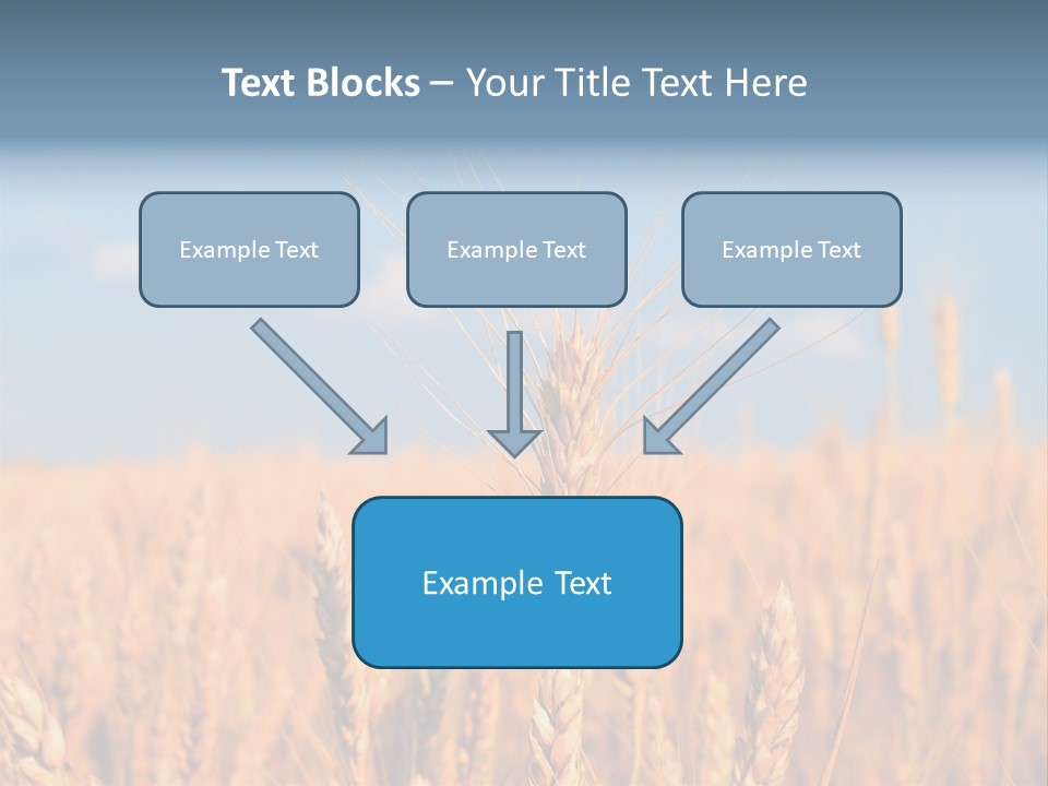 A Little Ear On A Background Of The Sky PowerPoint Template