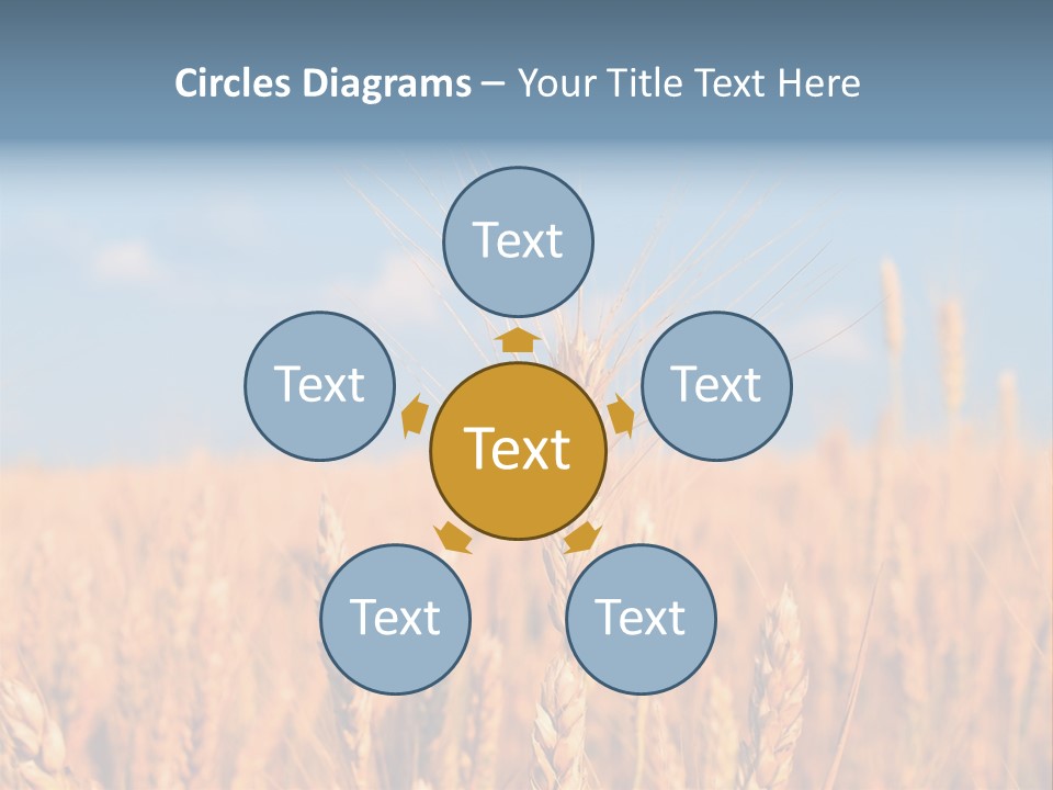 A Little Ear On A Background Of The Sky PowerPoint Template