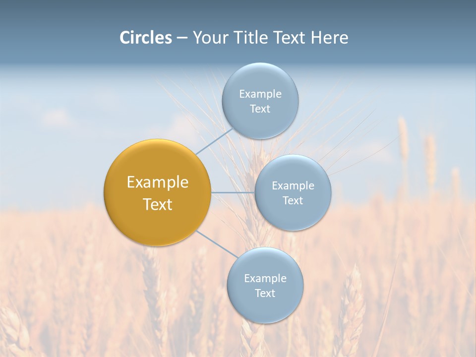 A Little Ear On A Background Of The Sky PowerPoint Template