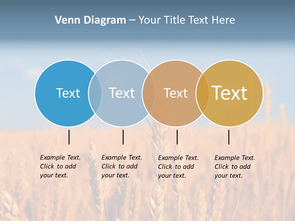 A Little Ear On A Background Of The Sky PowerPoint Template