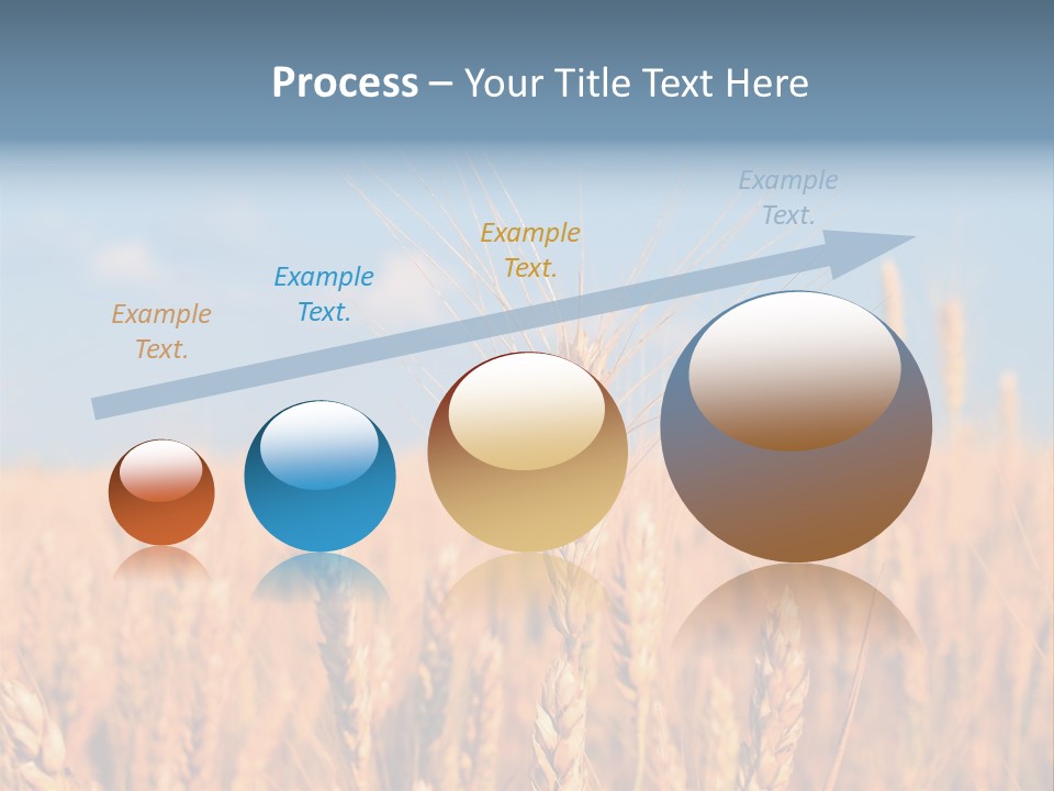 A Little Ear On A Background Of The Sky PowerPoint Template
