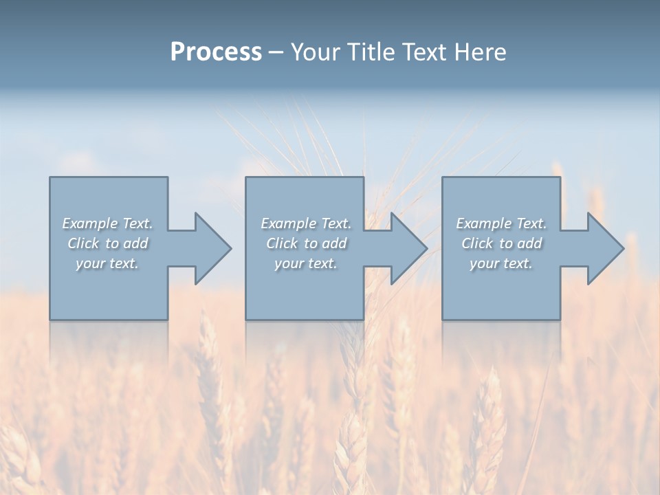 A Little Ear On A Background Of The Sky PowerPoint Template