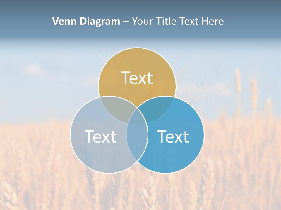 A Little Ear On A Background Of The Sky PowerPoint Template