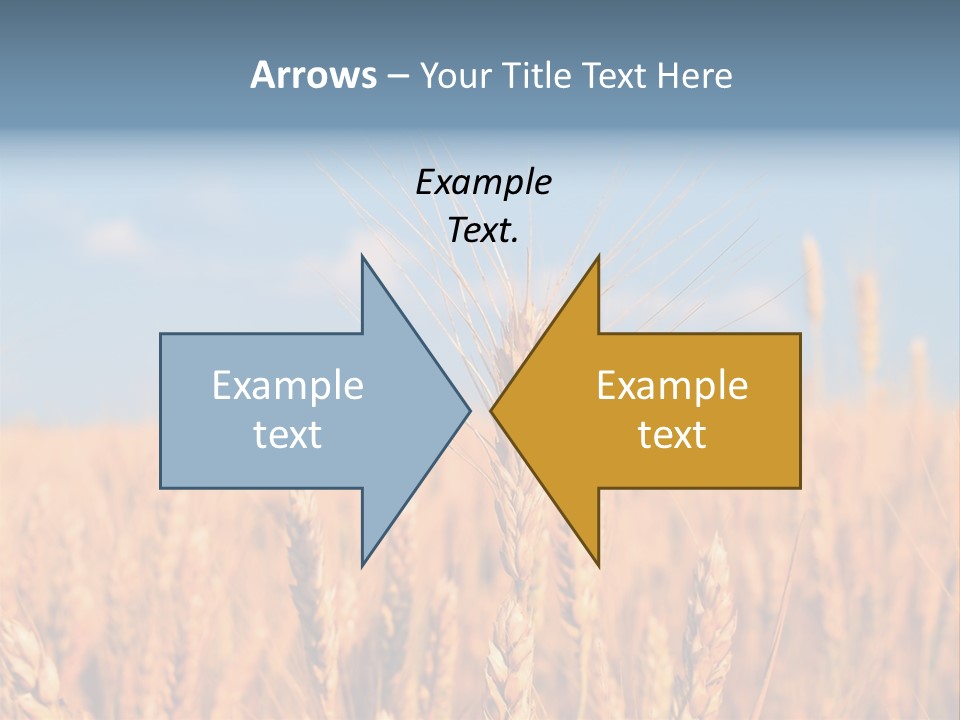 A Little Ear On A Background Of The Sky PowerPoint Template