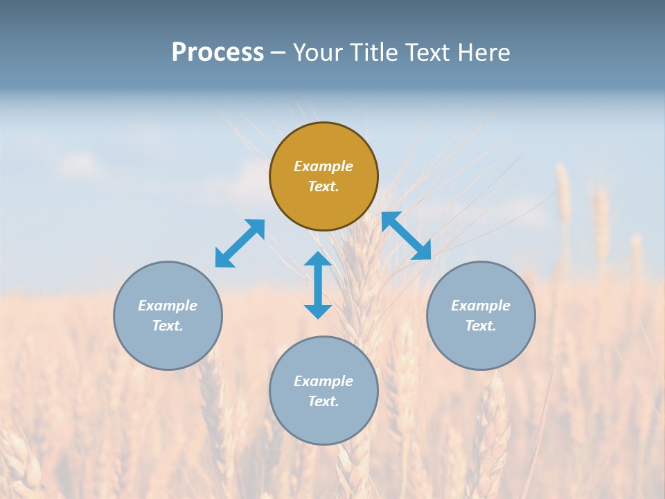 A Little Ear On A Background Of The Sky PowerPoint Template