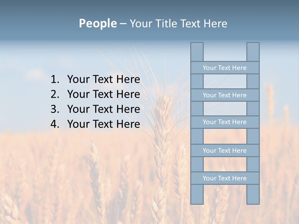 A Little Ear On A Background Of The Sky PowerPoint Template