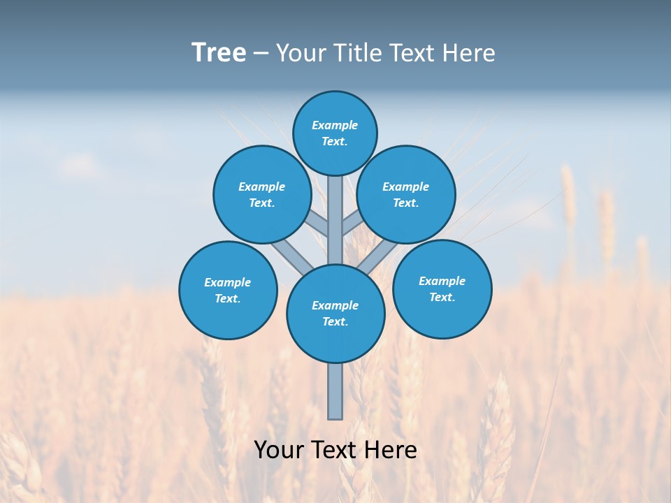 A Little Ear On A Background Of The Sky PowerPoint Template