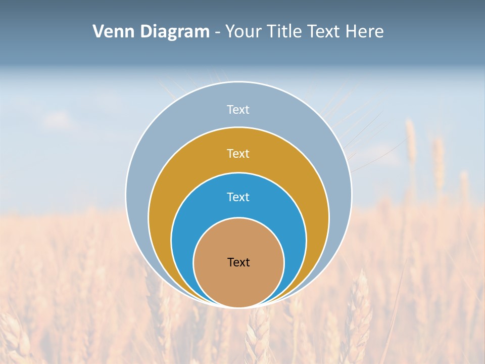 A Little Ear On A Background Of The Sky PowerPoint Template