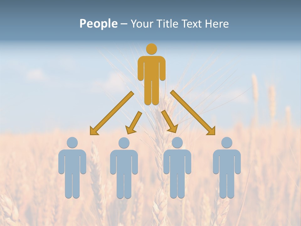 A Little Ear On A Background Of The Sky PowerPoint Template