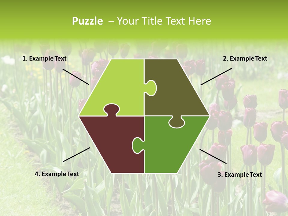 Magenta Tulips In The Garden PowerPoint Template