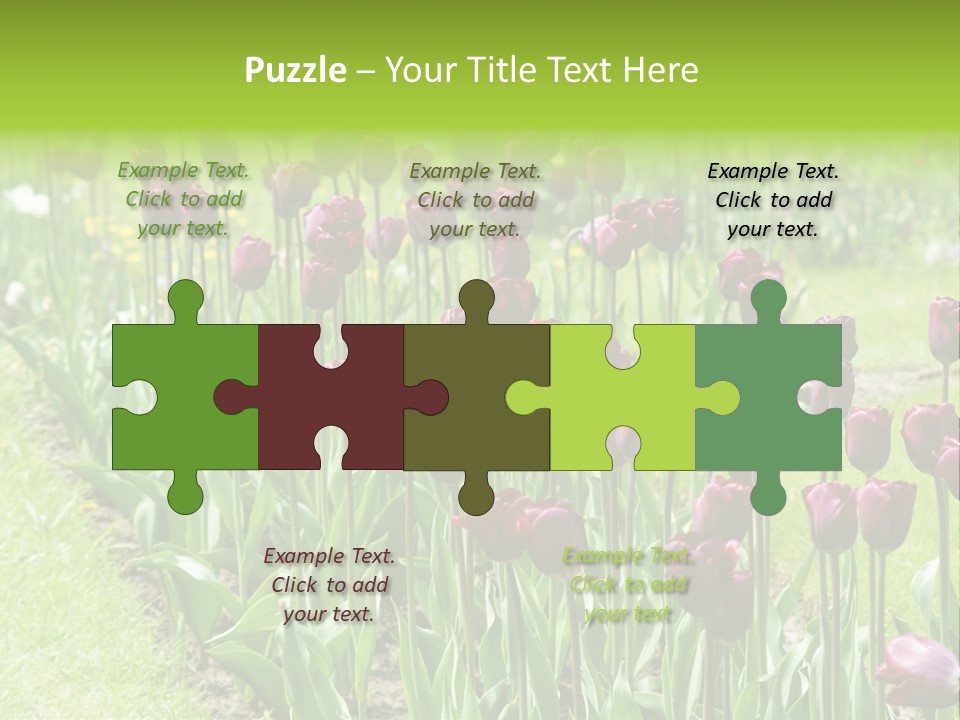 Magenta Tulips In The Garden PowerPoint Template