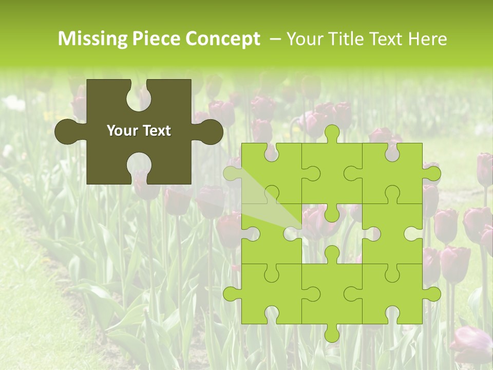 Magenta Tulips In The Garden PowerPoint Template