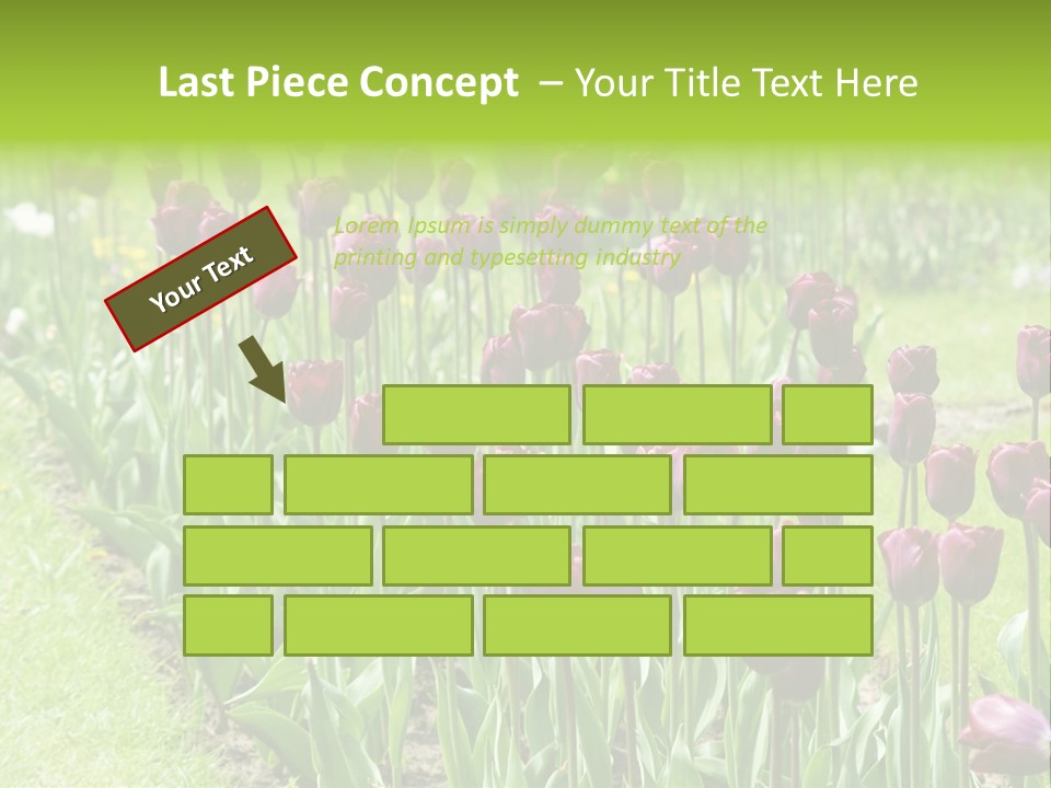 Magenta Tulips In The Garden PowerPoint Template