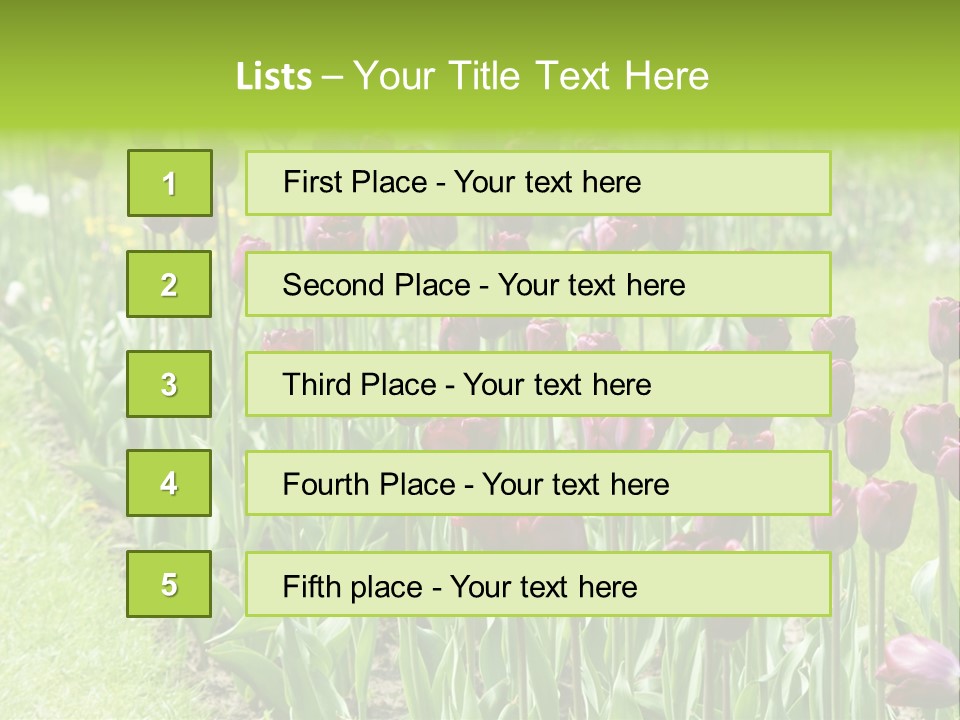 Magenta Tulips In The Garden PowerPoint Template