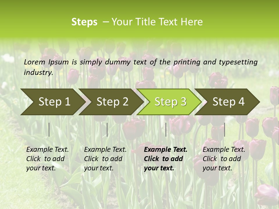 Magenta Tulips In The Garden PowerPoint Template