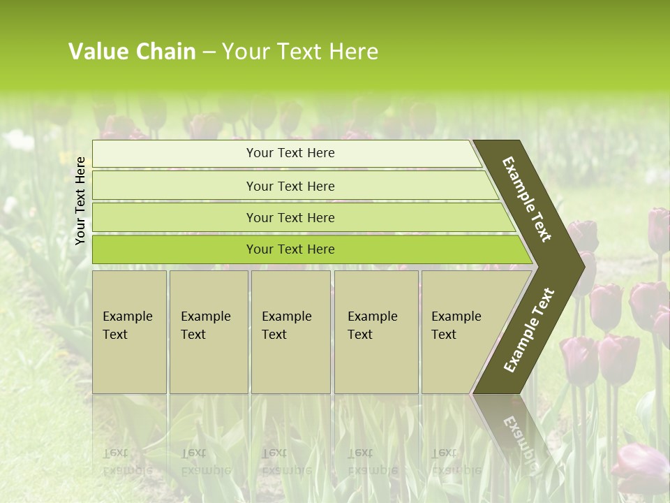 Magenta Tulips In The Garden PowerPoint Template