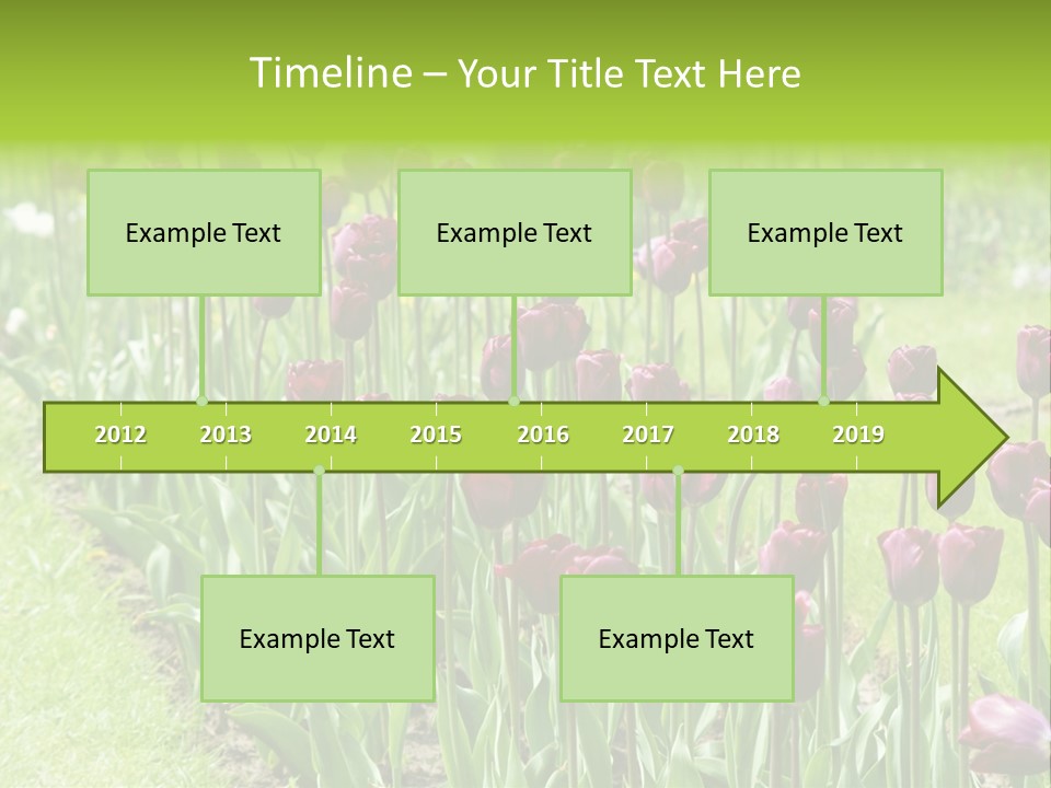 Magenta Tulips In The Garden PowerPoint Template