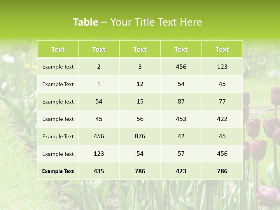 Magenta Tulips In The Garden PowerPoint Template