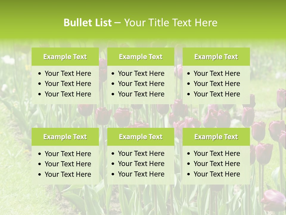 Magenta Tulips In The Garden PowerPoint Template