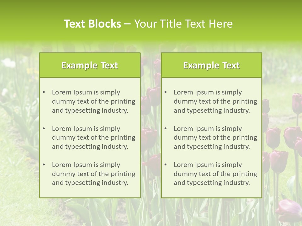 Magenta Tulips In The Garden PowerPoint Template