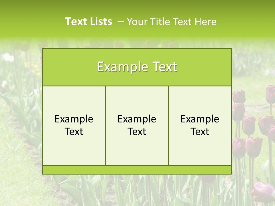 Magenta Tulips In The Garden PowerPoint Template