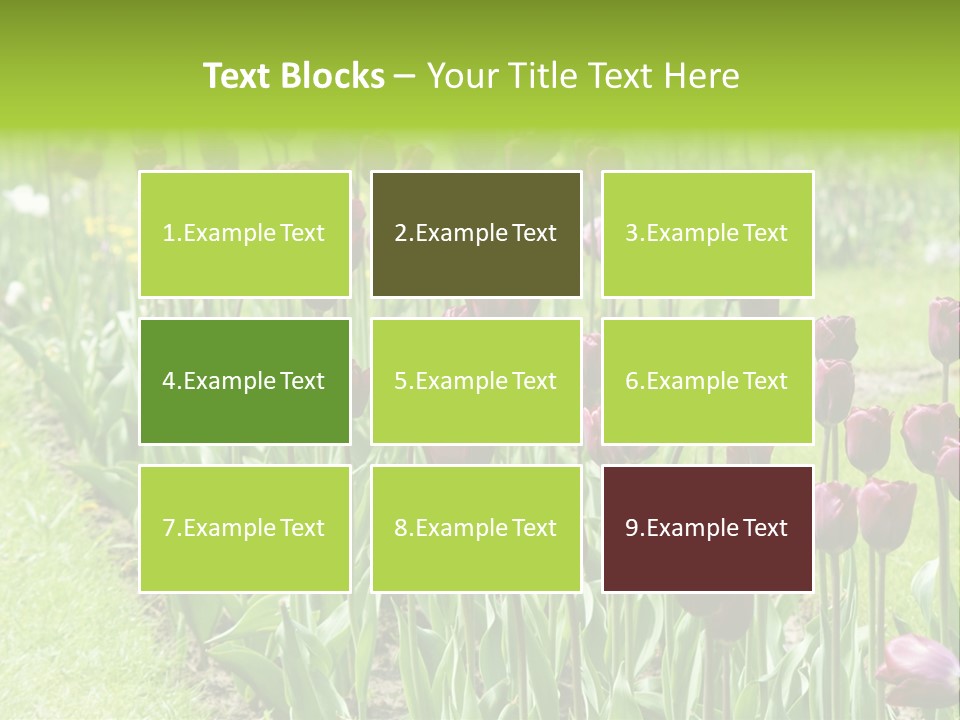 Magenta Tulips In The Garden PowerPoint Template