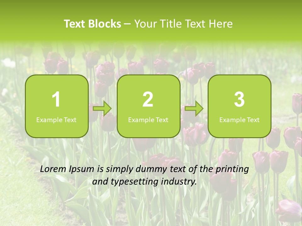 Magenta Tulips In The Garden PowerPoint Template