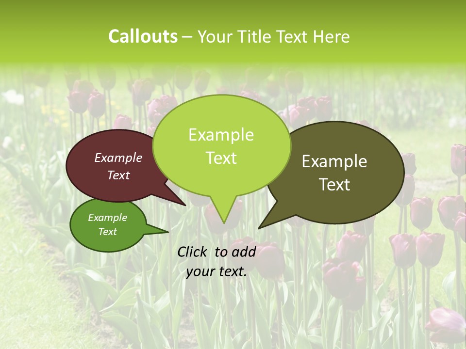 Magenta Tulips In The Garden PowerPoint Template