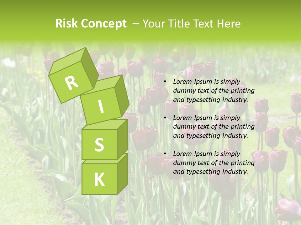 Magenta Tulips In The Garden PowerPoint Template