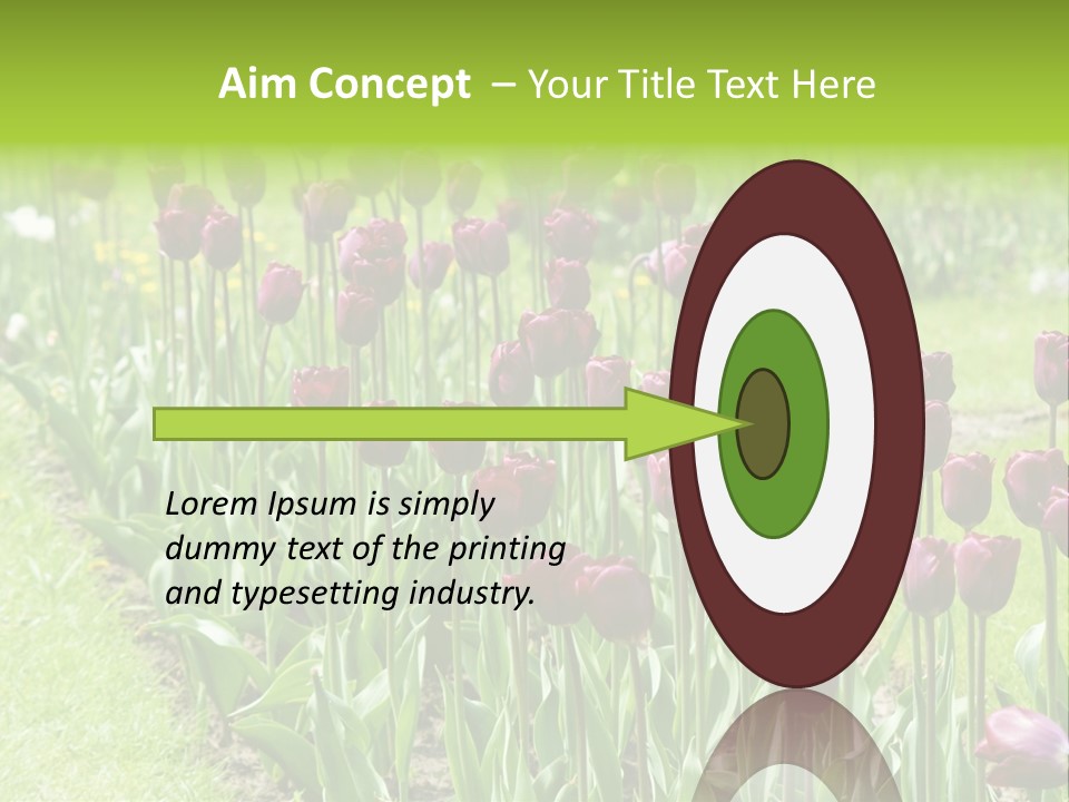 Magenta Tulips In The Garden PowerPoint Template