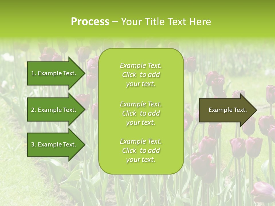 Magenta Tulips In The Garden PowerPoint Template
