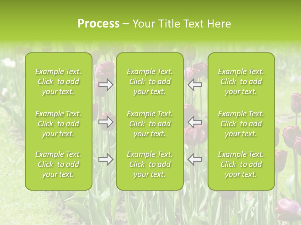 Magenta Tulips In The Garden PowerPoint Template