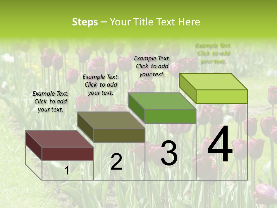 Magenta Tulips In The Garden PowerPoint Template