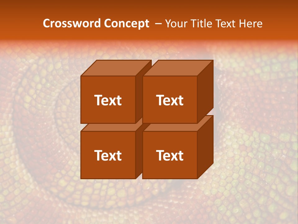 Detailed Close-Up Of The Curled-Up Tail Of A Panther Chameleon. PowerPoint Template