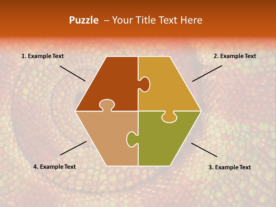 Detailed Close-Up Of The Curled-Up Tail Of A Panther Chameleon. PowerPoint Template