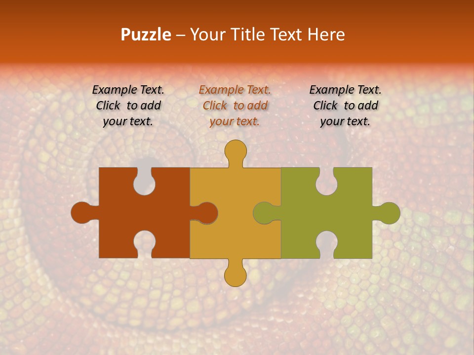 Detailed Close-Up Of The Curled-Up Tail Of A Panther Chameleon. PowerPoint Template