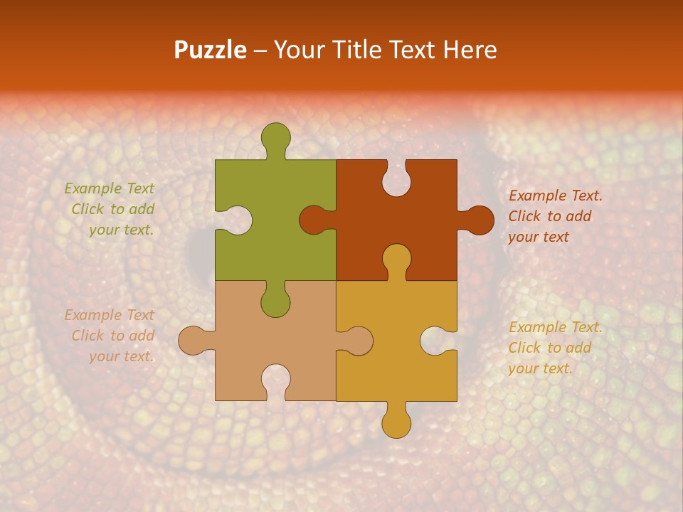 Detailed Close-Up Of The Curled-Up Tail Of A Panther Chameleon. PowerPoint Template