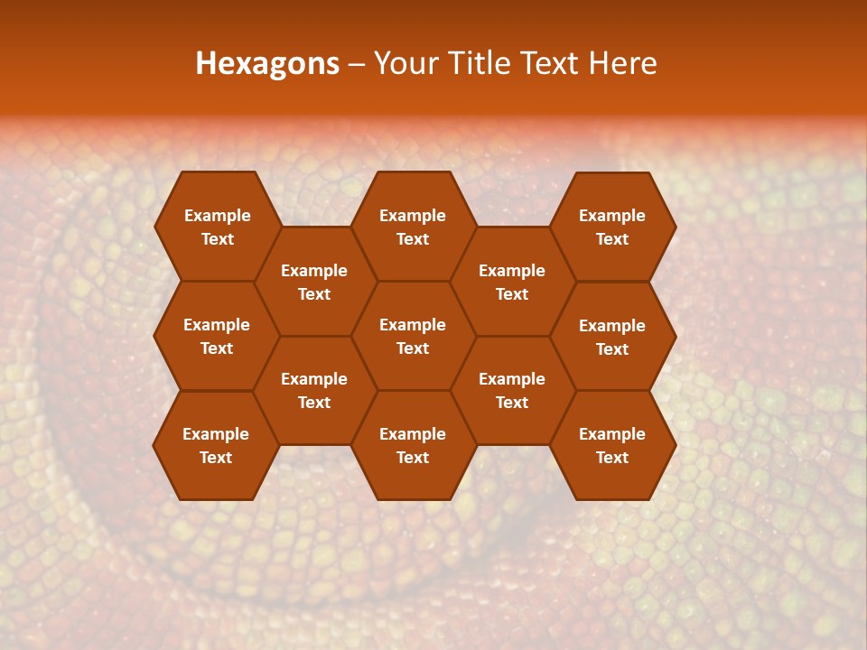 Detailed Close-Up Of The Curled-Up Tail Of A Panther Chameleon. PowerPoint Template