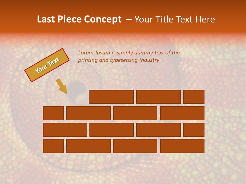 Detailed Close-Up Of The Curled-Up Tail Of A Panther Chameleon. PowerPoint Template