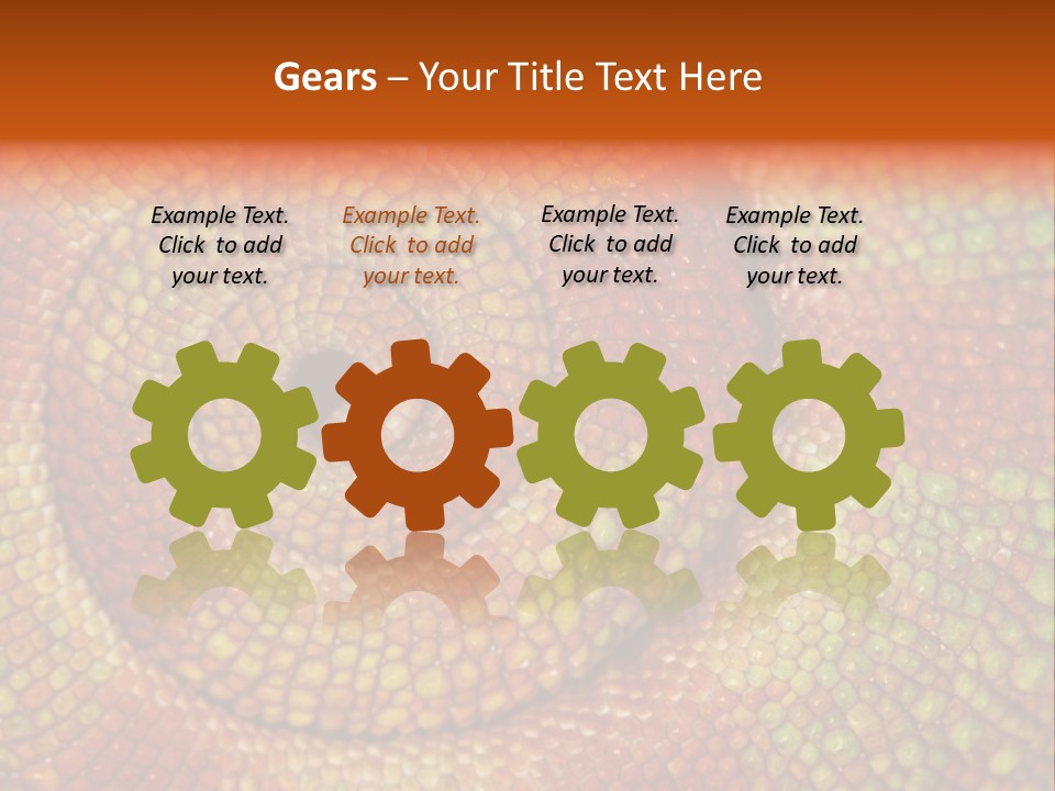 Detailed Close-Up Of The Curled-Up Tail Of A Panther Chameleon. PowerPoint Template