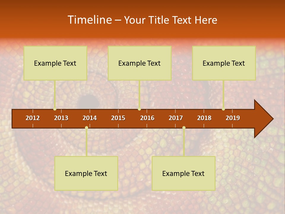 Detailed Close-Up Of The Curled-Up Tail Of A Panther Chameleon. PowerPoint Template
