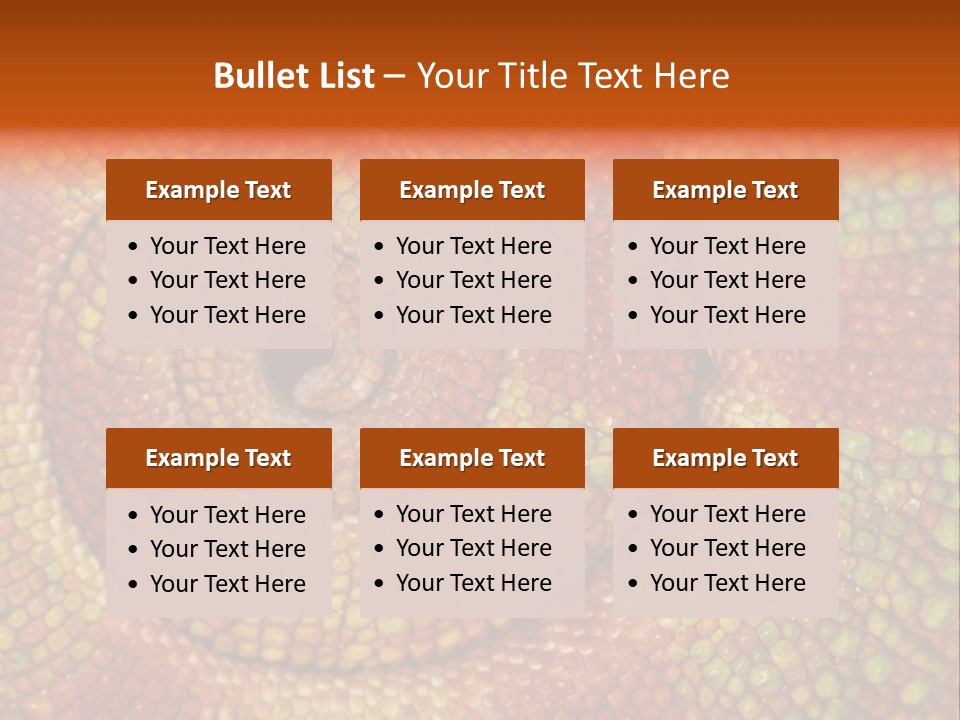 Detailed Close-Up Of The Curled-Up Tail Of A Panther Chameleon. PowerPoint Template