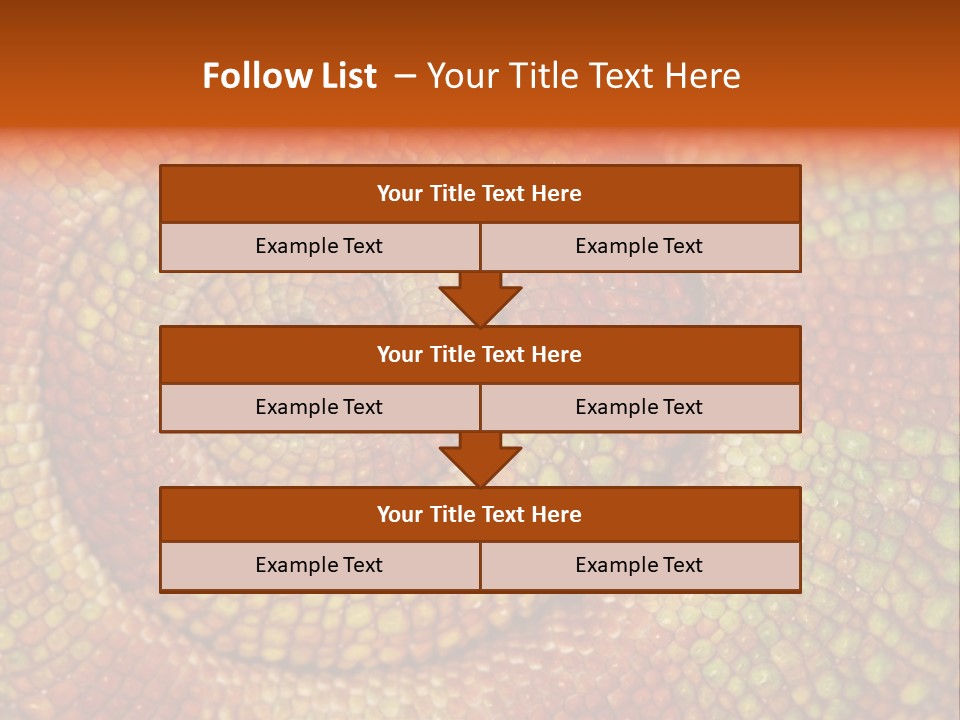 Detailed Close-Up Of The Curled-Up Tail Of A Panther Chameleon. PowerPoint Template