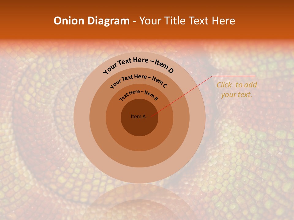 Detailed Close-Up Of The Curled-Up Tail Of A Panther Chameleon. PowerPoint Template