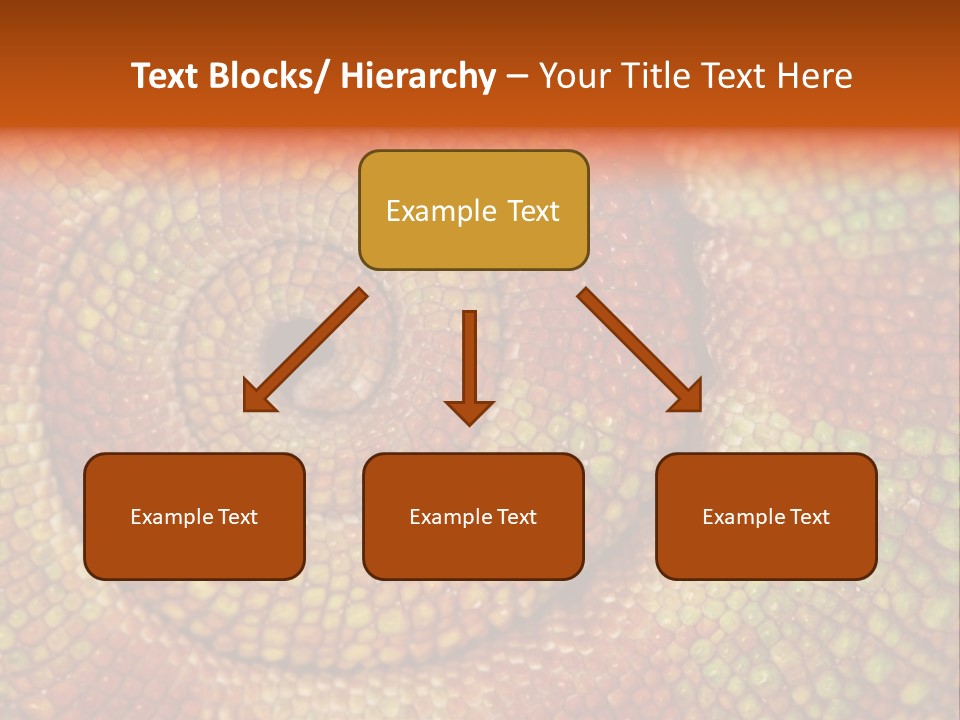 Detailed Close-Up Of The Curled-Up Tail Of A Panther Chameleon. PowerPoint Template