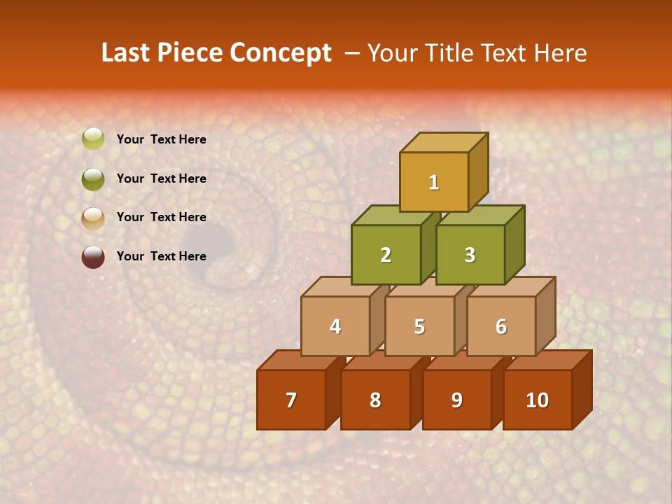 Detailed Close-Up Of The Curled-Up Tail Of A Panther Chameleon. PowerPoint Template