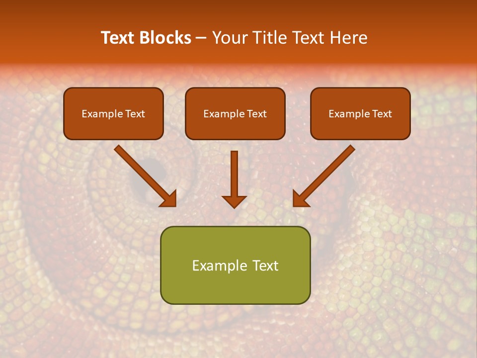 Detailed Close-Up Of The Curled-Up Tail Of A Panther Chameleon. PowerPoint Template